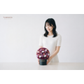 永生限定盆花｜華燈初上_6