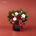 聖誕鮮花盆花｜小