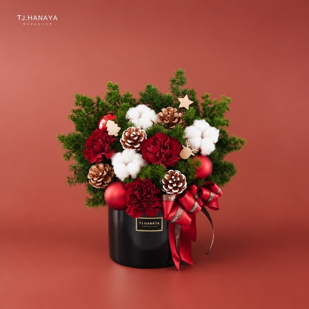 聖誕鮮花盆花｜小