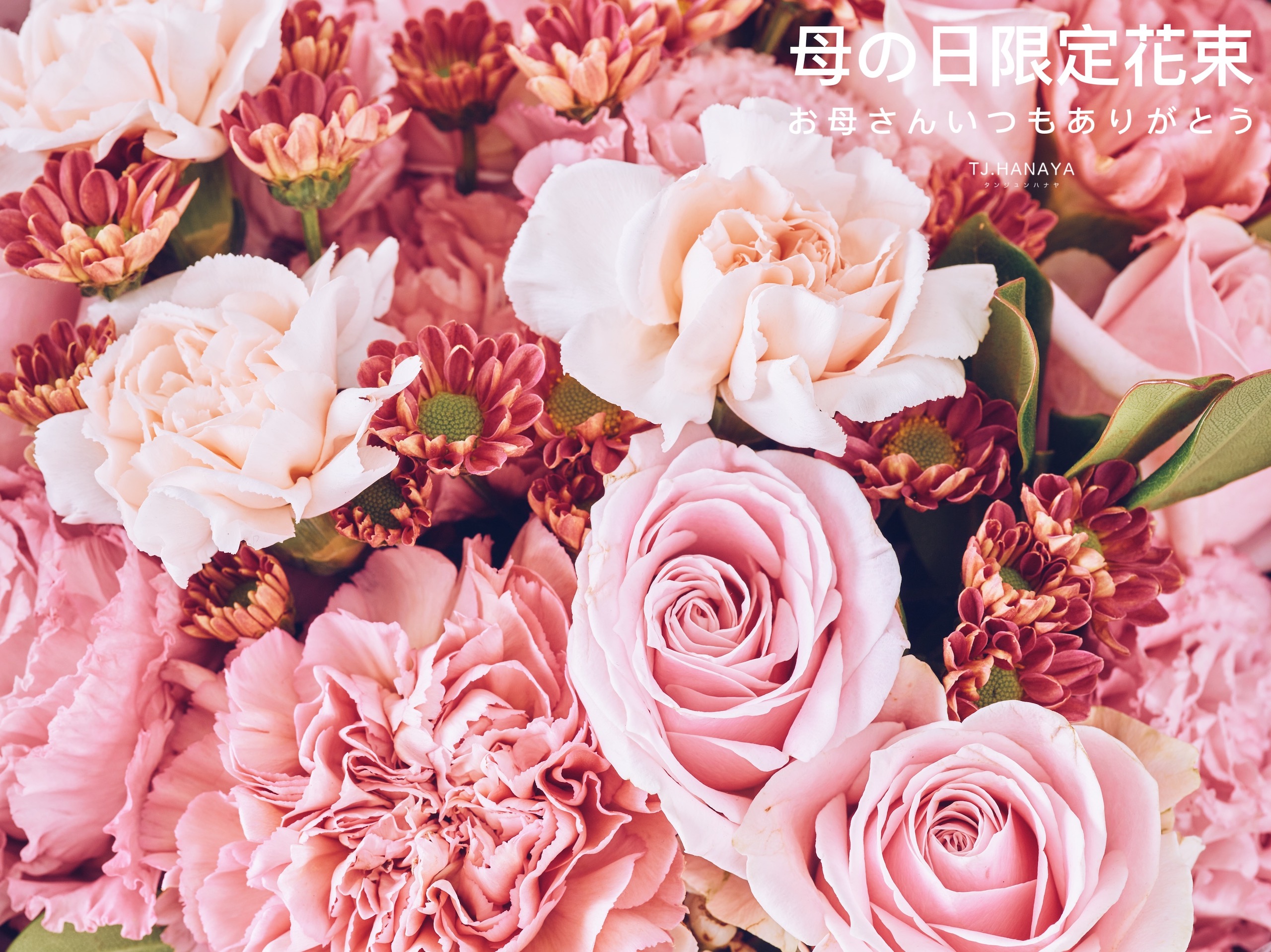 母親節限定 鮮花康乃馨花束 Tj Hanaya 緹緁花屋