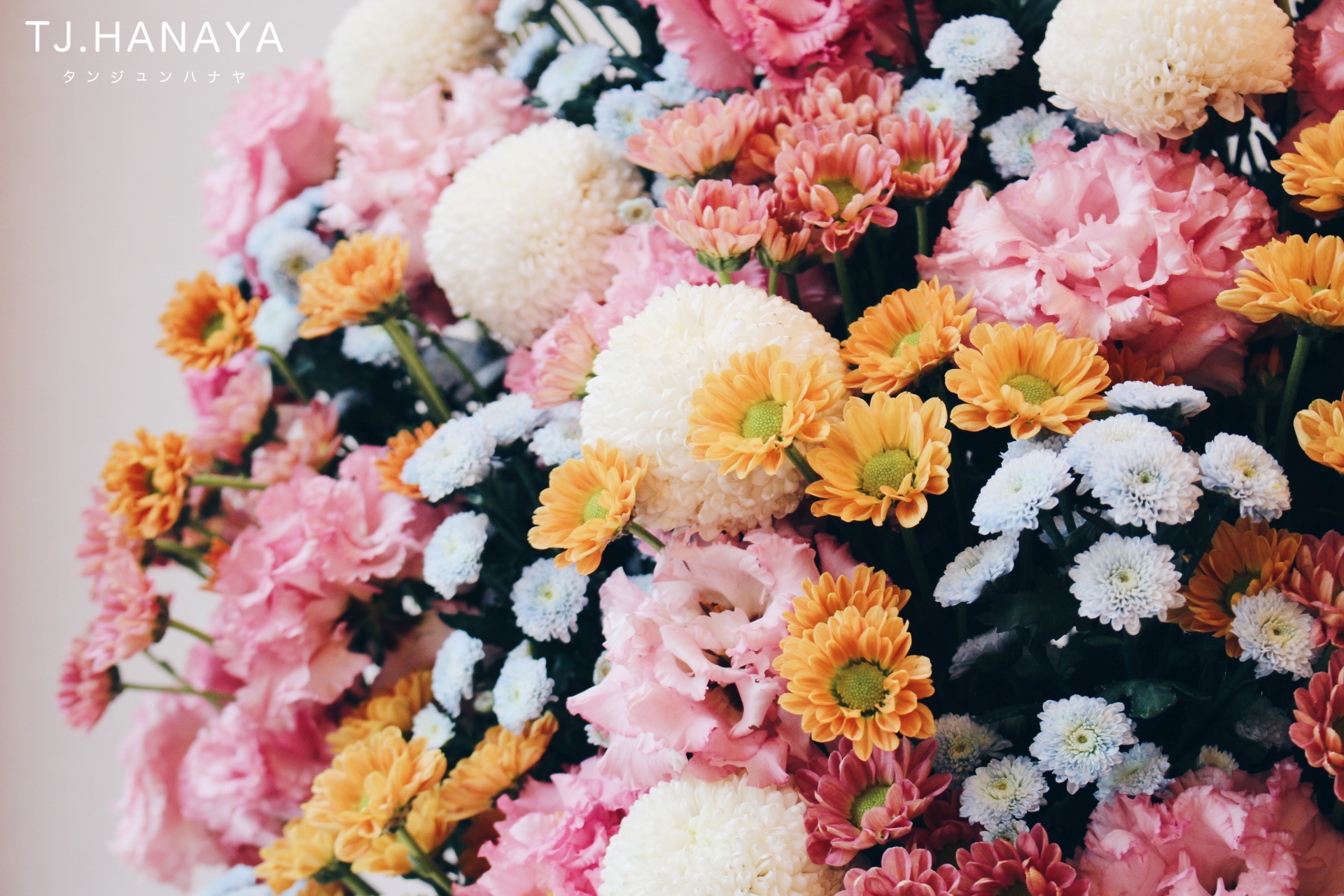 攝影高架花籃|新北花店 攝影花籃展覽送花