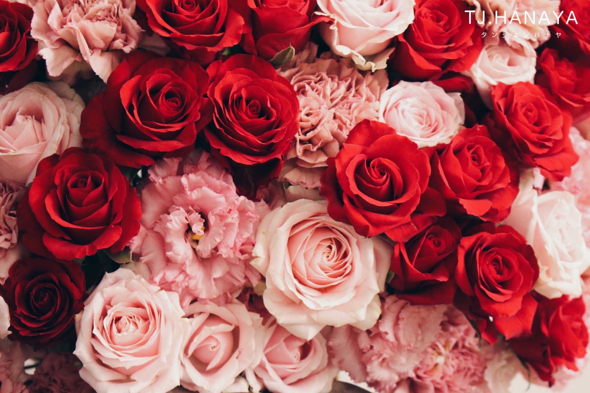 玫瑰高架花籃|新竹花店 99朵玫瑰花籃