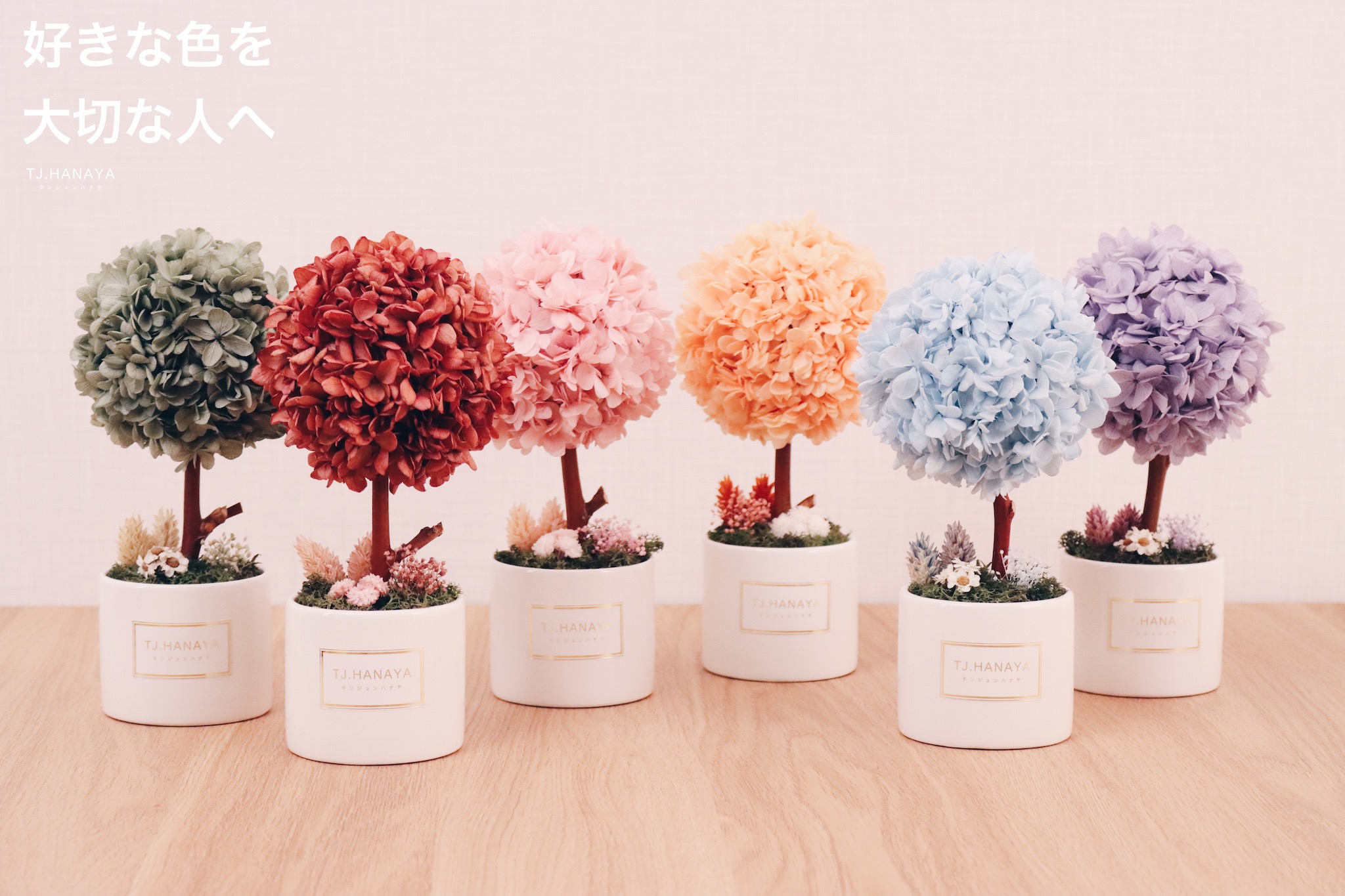 林口花店推薦|台灣買花|林口買花