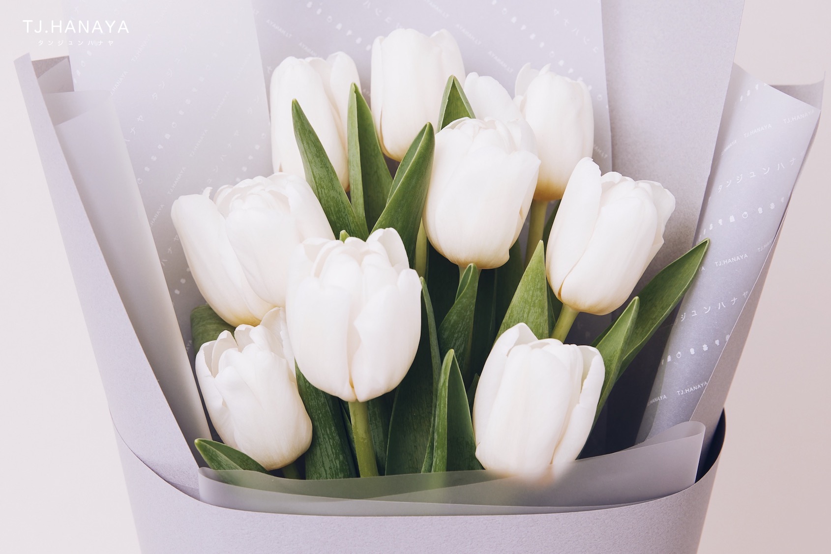 鬱金香花語是什麼？愛情、幸福與祝福的象徵｜顏色意義與送禮指南