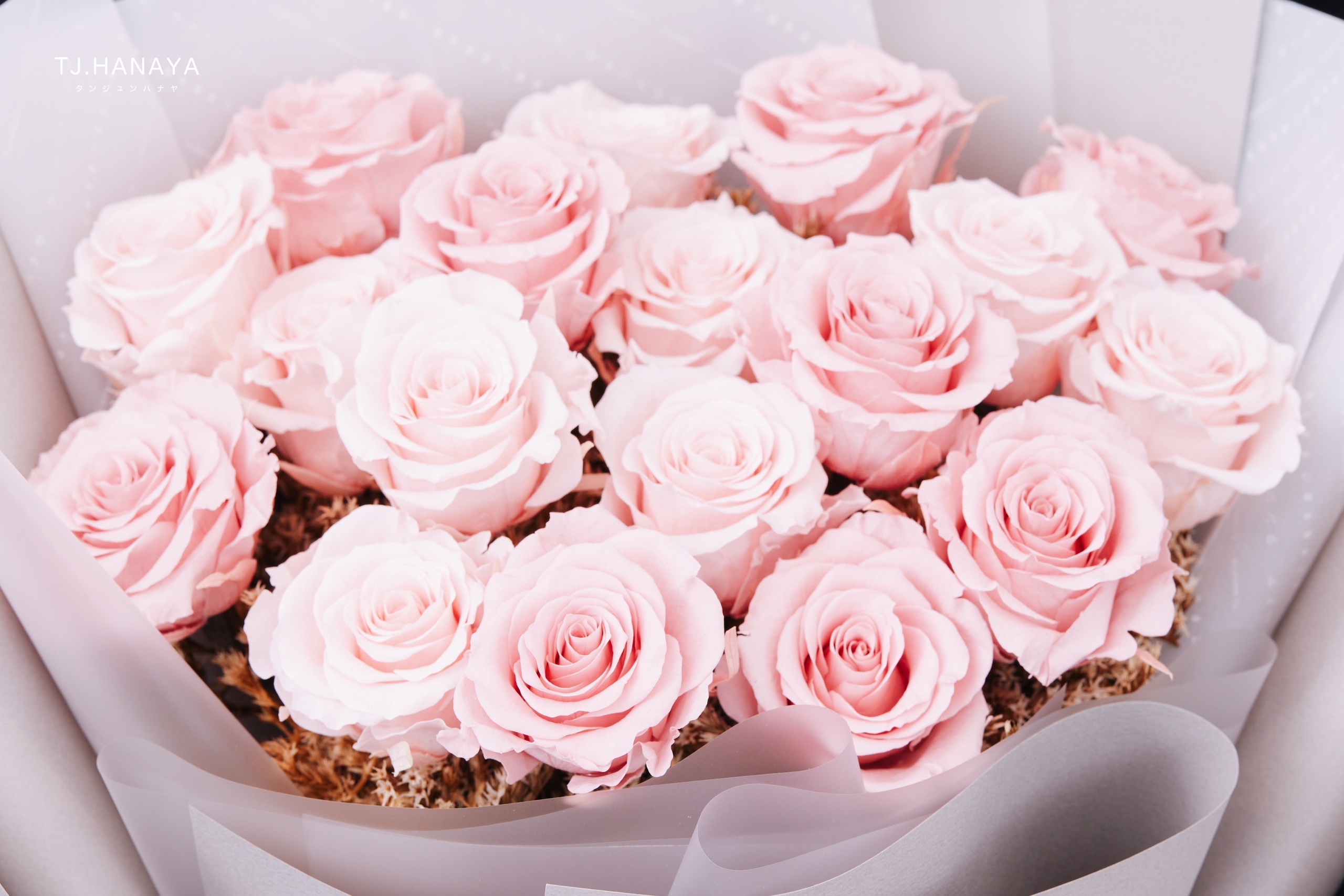 粉玫瑰花語完整解析｜象徵意義、不同粉色含義與送禮建議