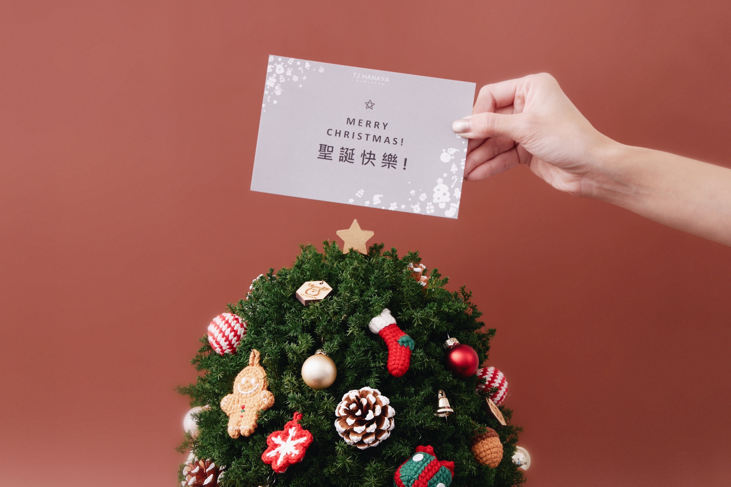 用花禮點亮冬夜的溫度｜聖誕節花禮的浪漫提案