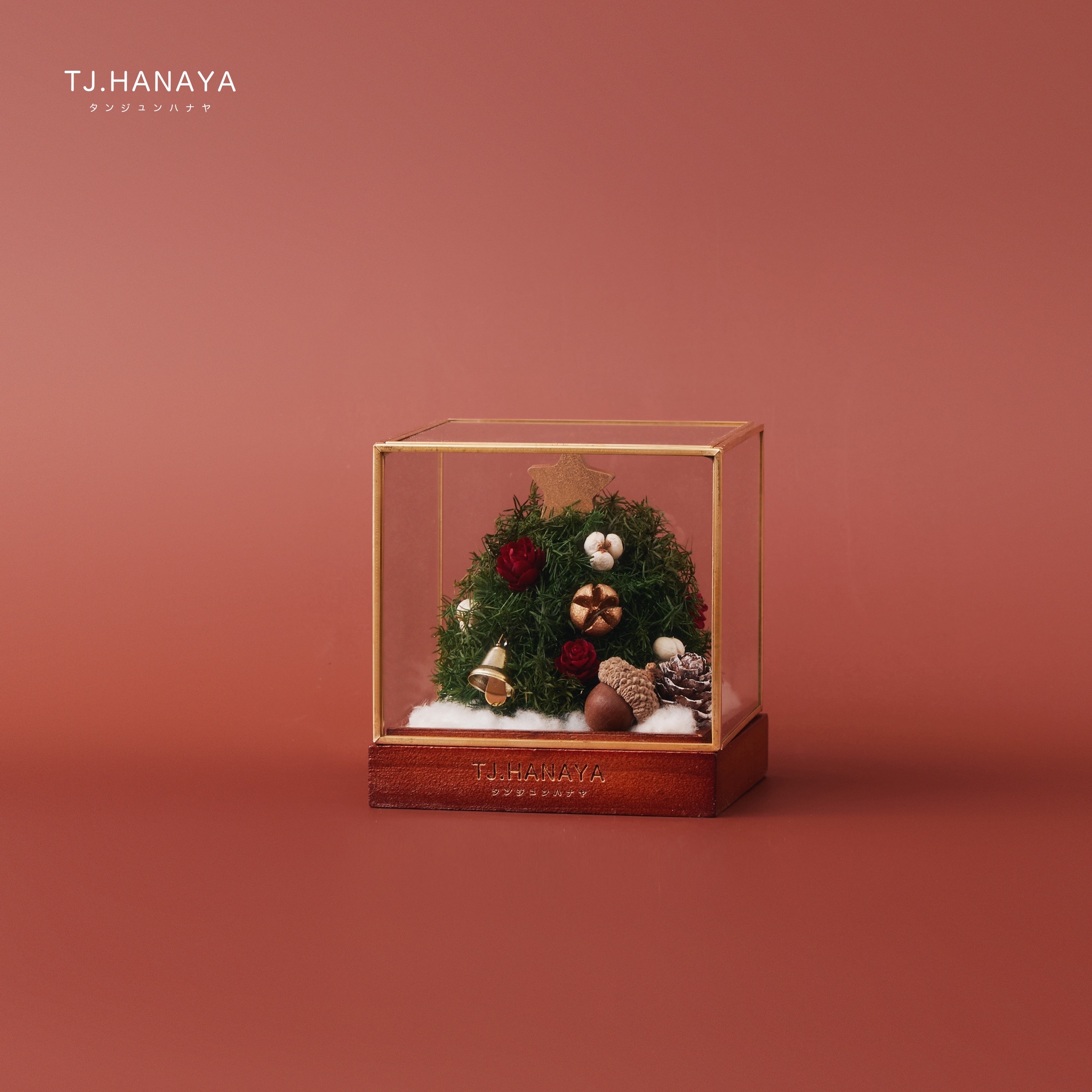 聖 誕 樹 玻 璃 盒