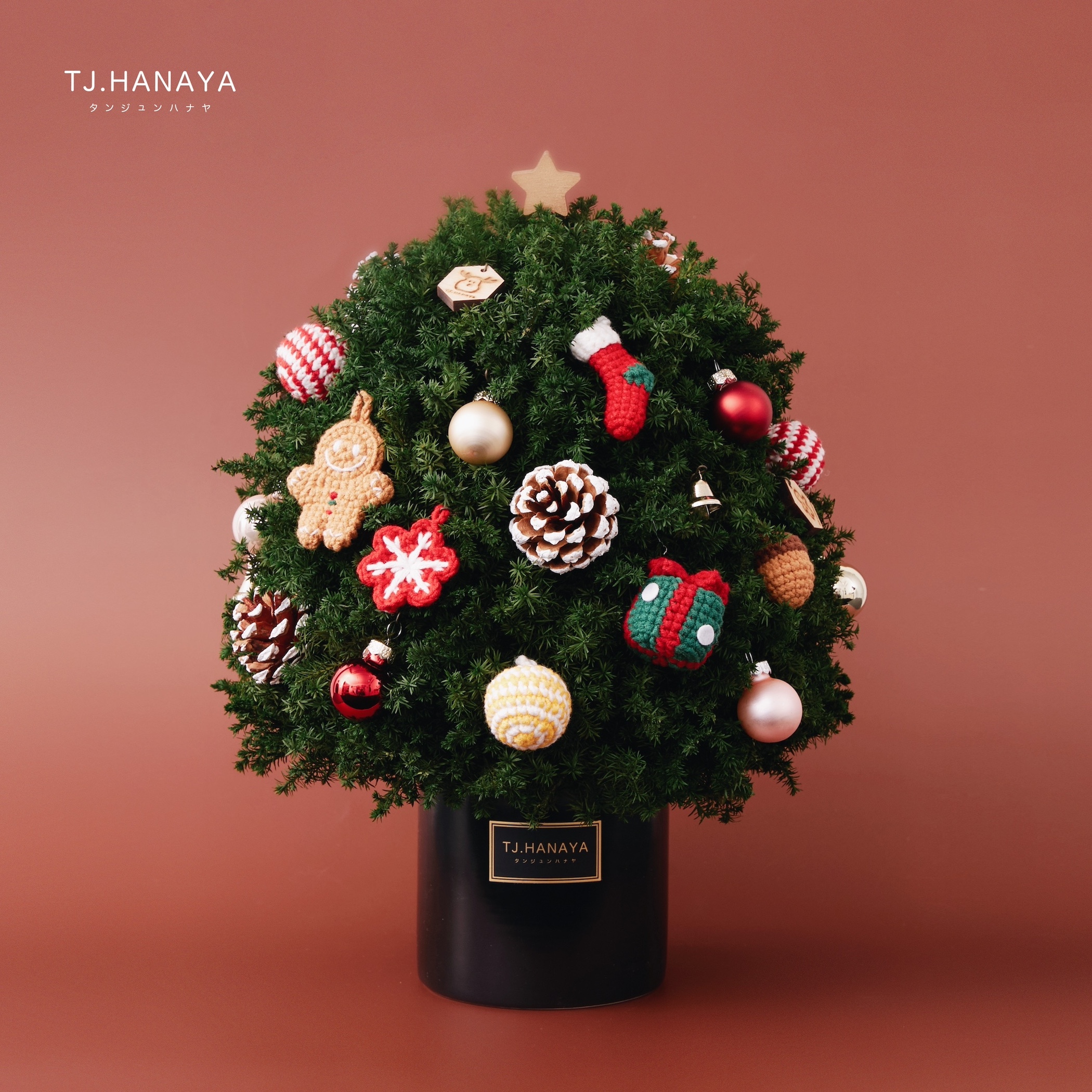 永 生 雪 松 聖 誕 樹＃大