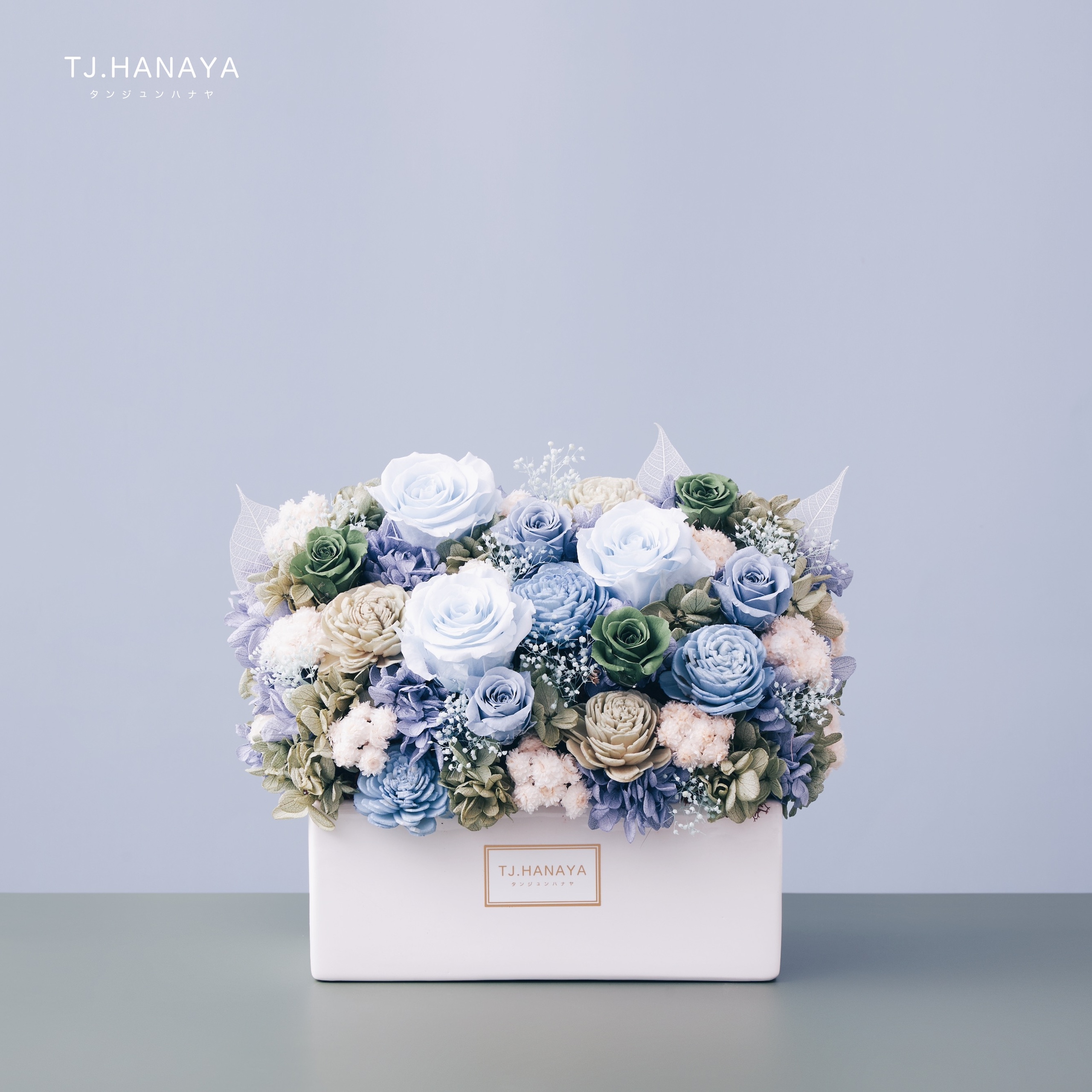 永生長型盆花｜湖水綠