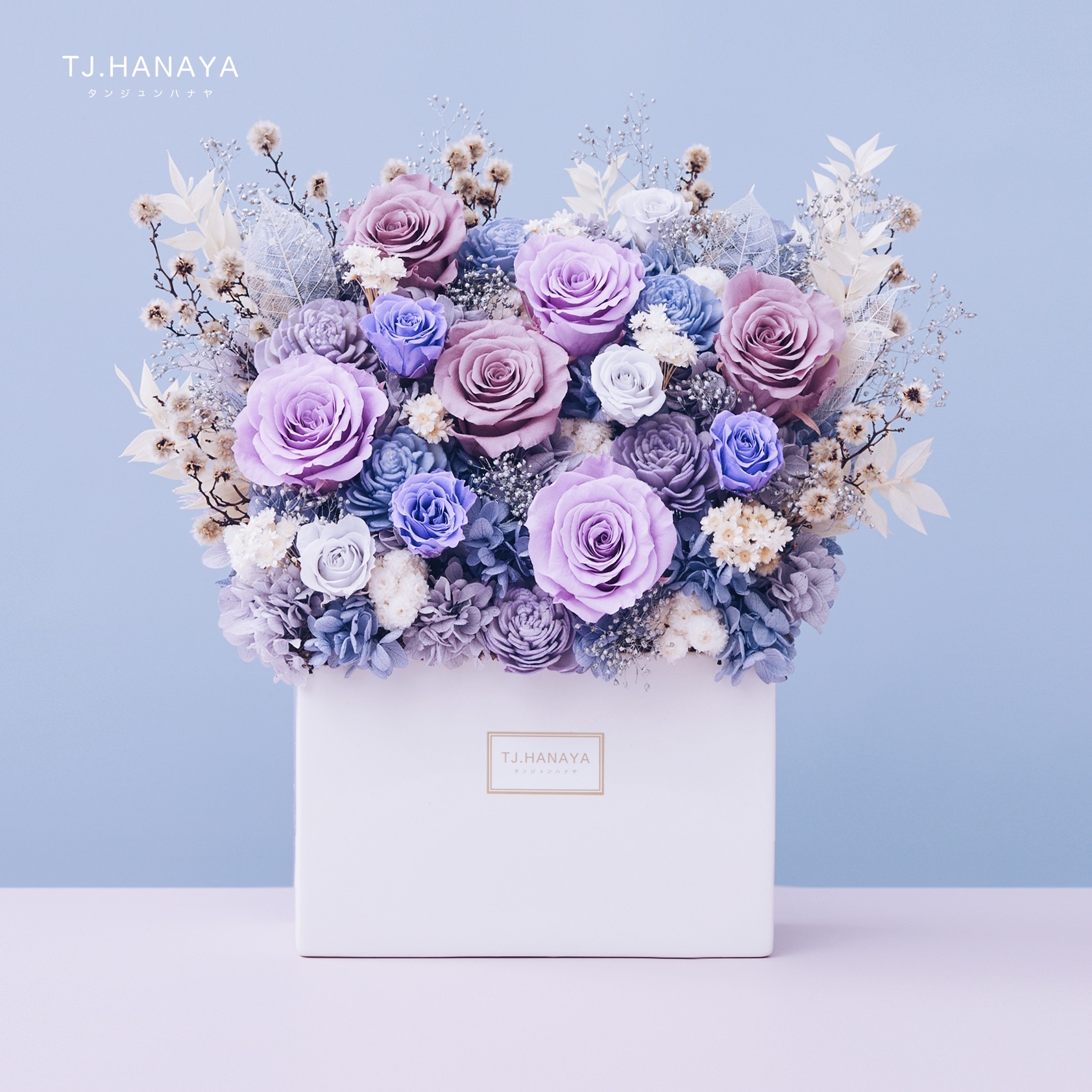 永生長型盆花｜紫霧藍