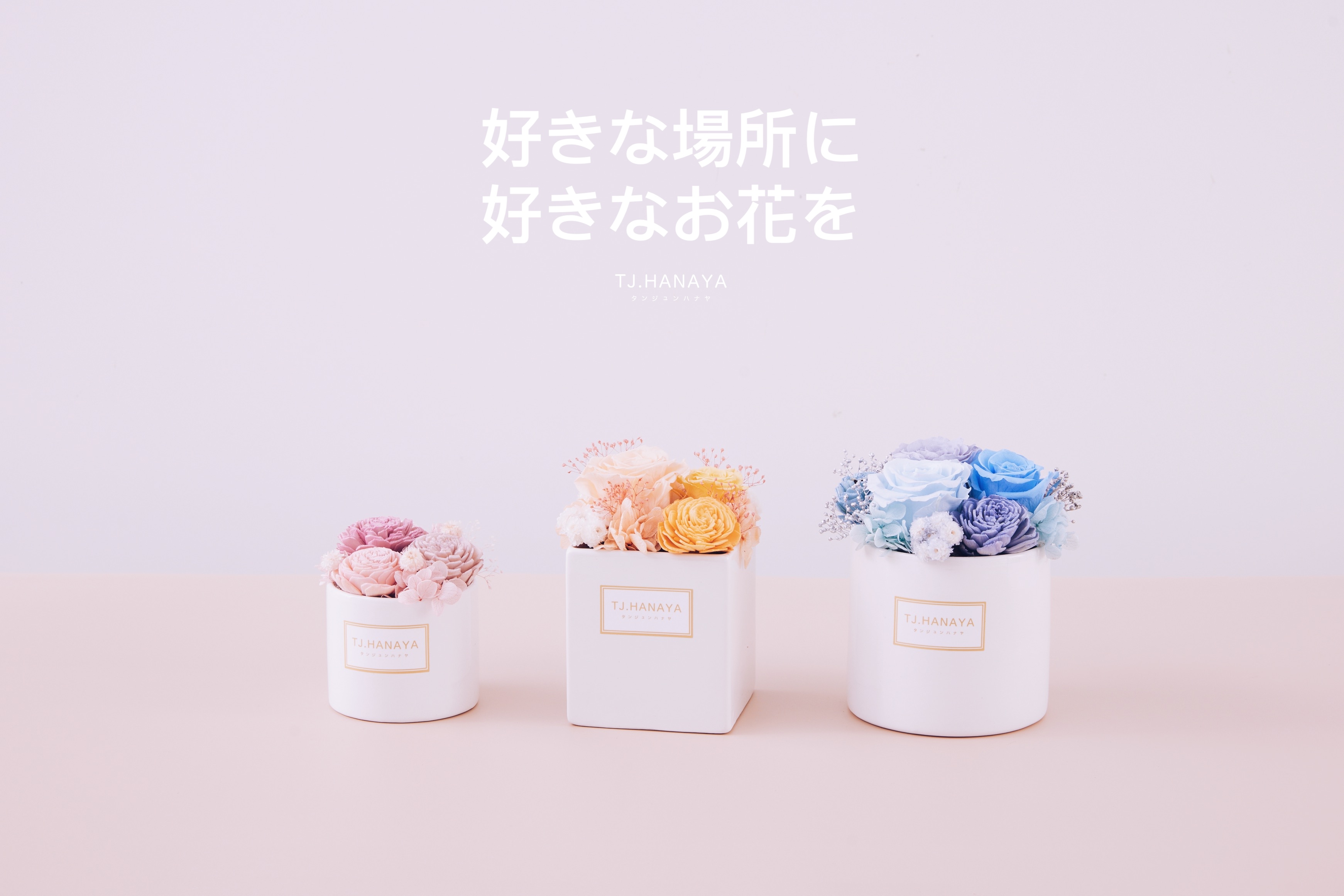 索拉小盆花-索拉花盆花-開店祝賀-小型花禮