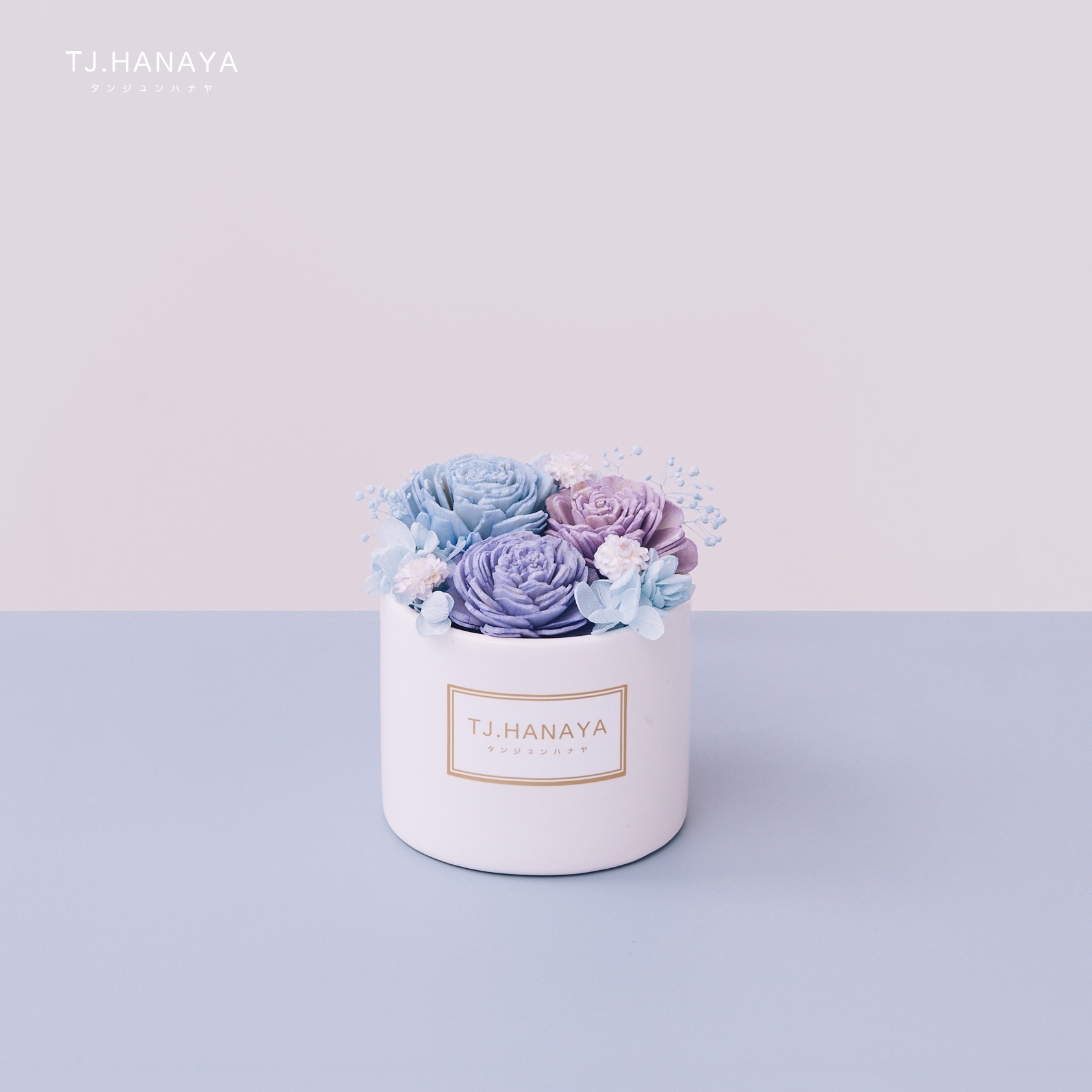 永生索拉小盆花｜藍