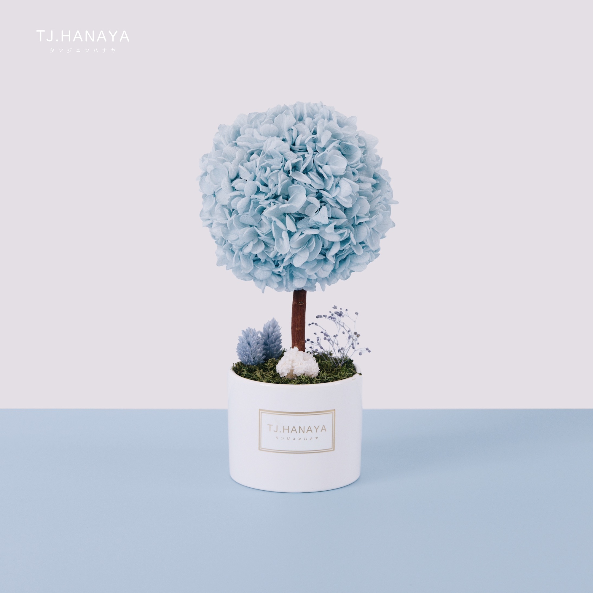 永生繡球小樹｜藍