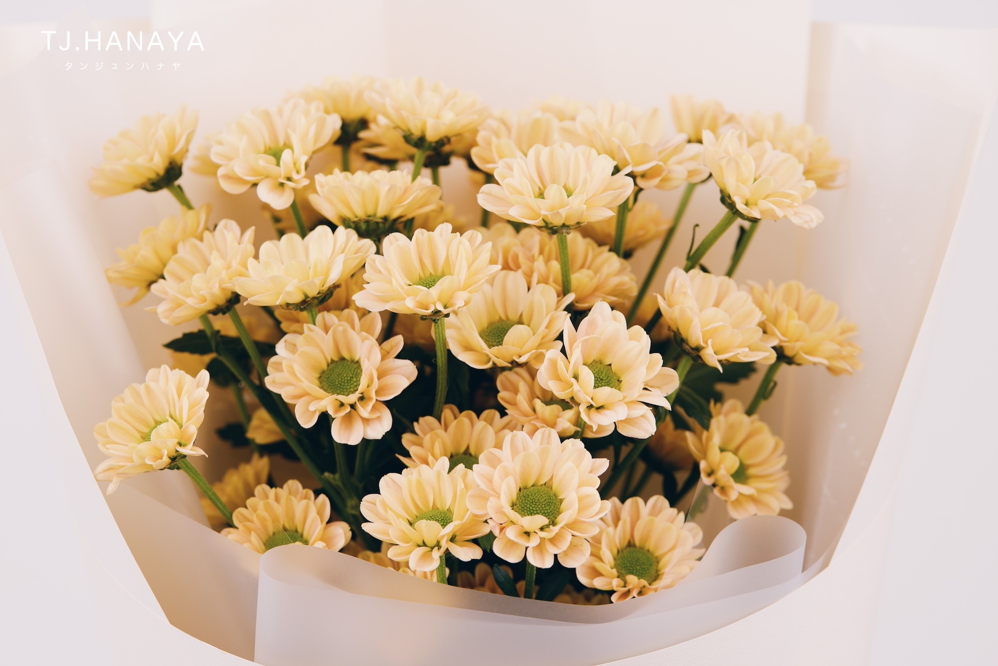 送長輩花禮注意事項-避免使用菊花為主的花禮