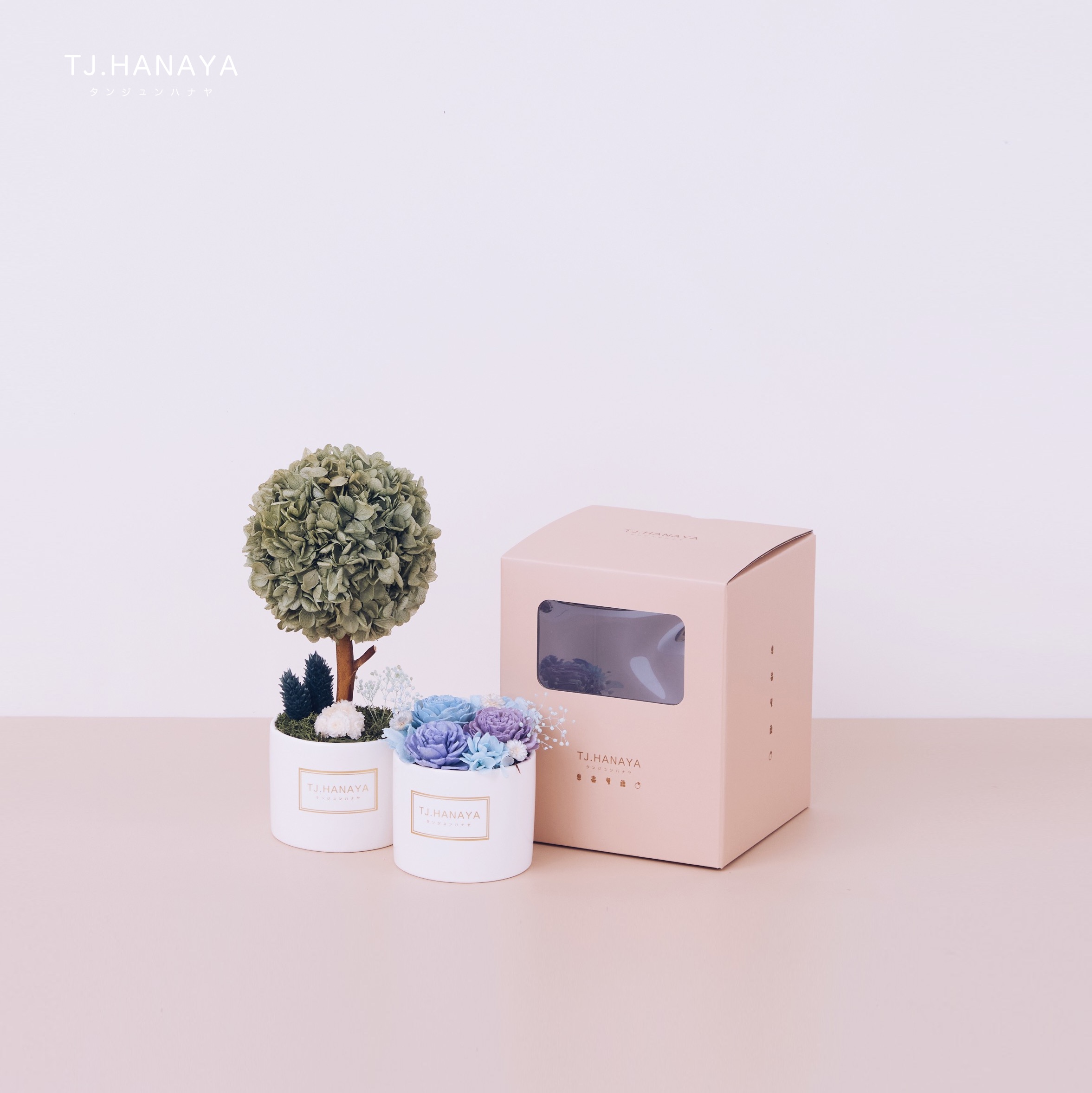 小圓小樹禮盒組