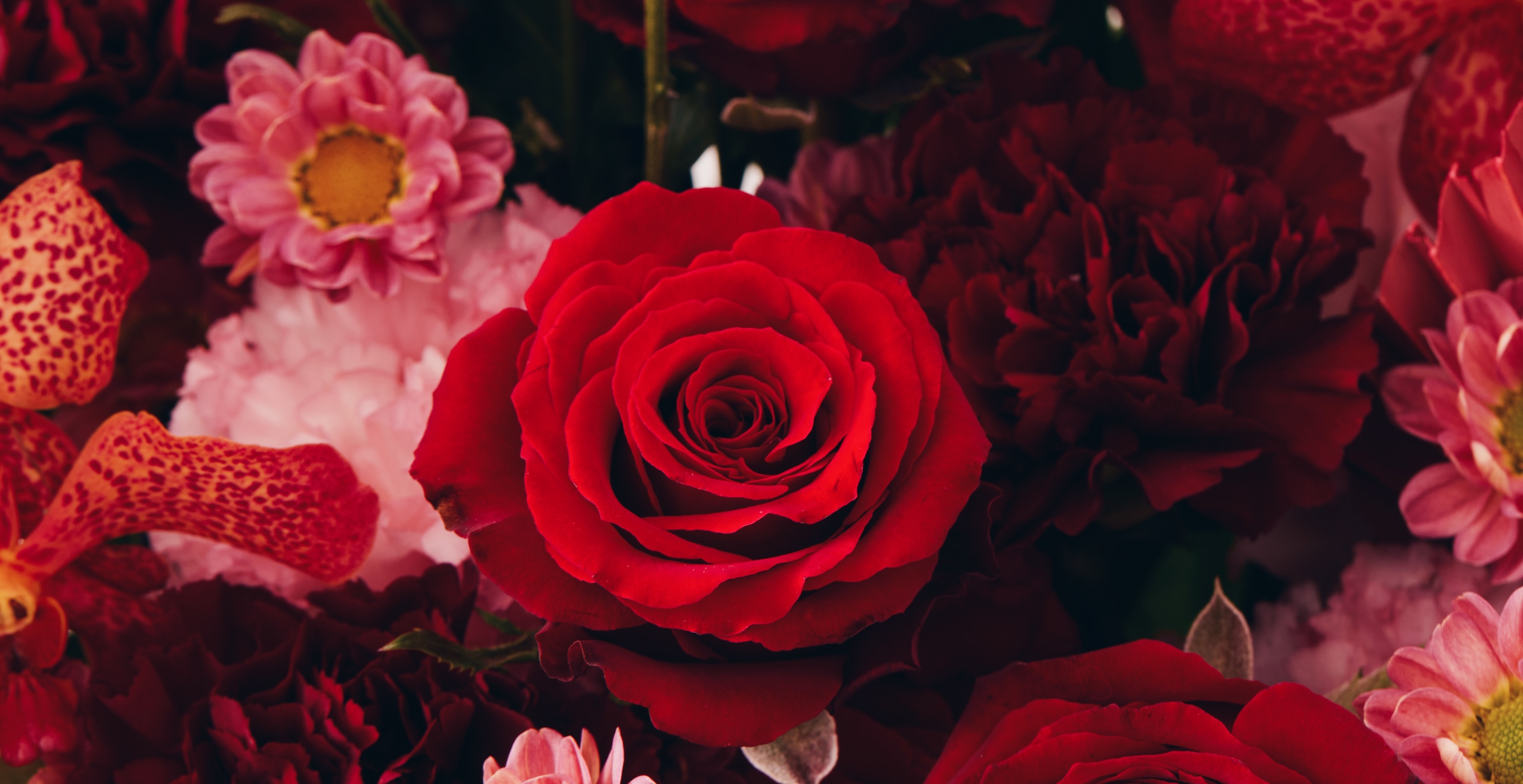 台北求婚花束推薦｜台中求婚花束推薦｜高雄求婚花束推薦｜新竹求婚花束推薦