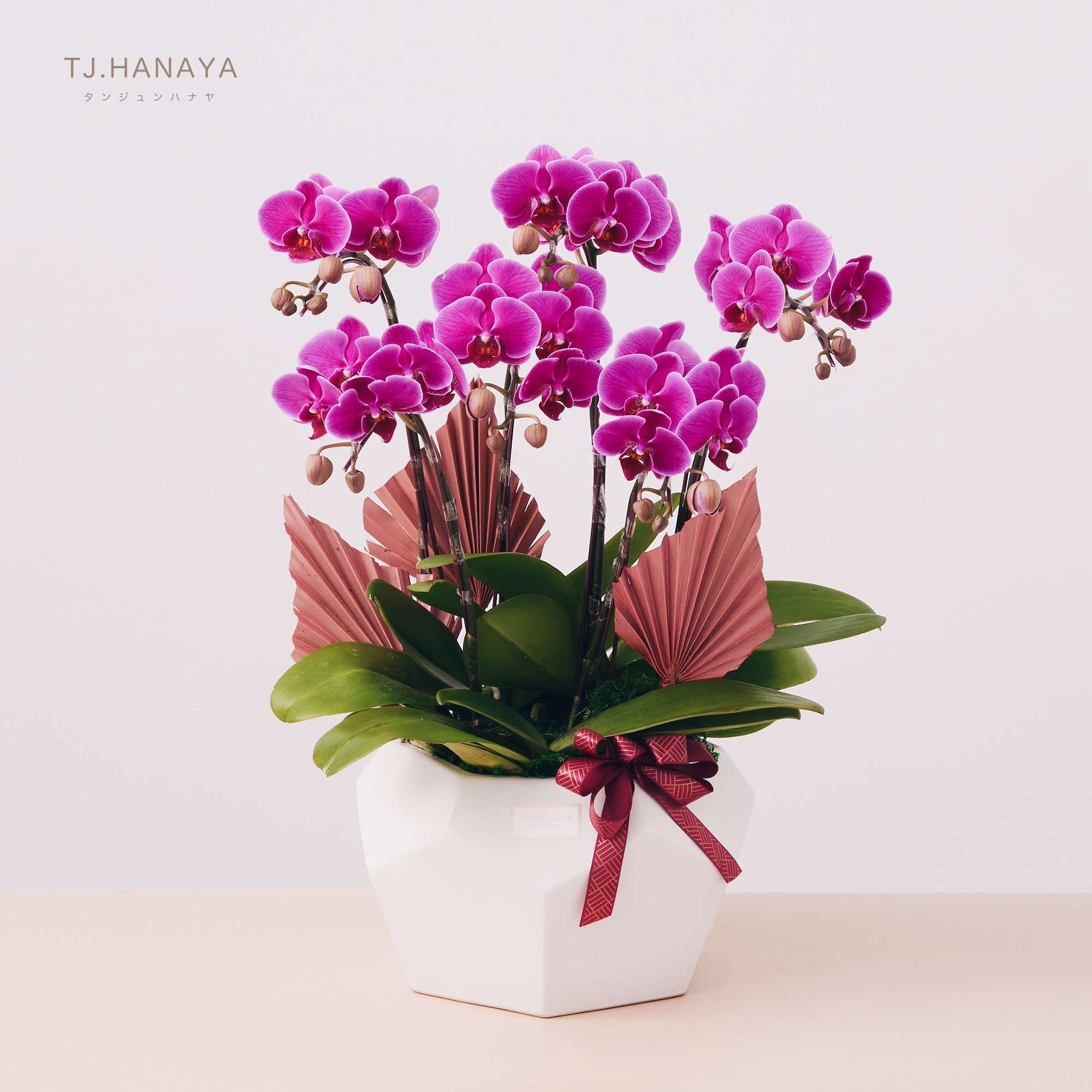 蘭花禮盆｜LB002