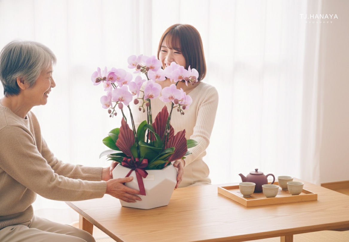 蘭花送禮-送長輩蘭花-長輩喜歡的蘭花