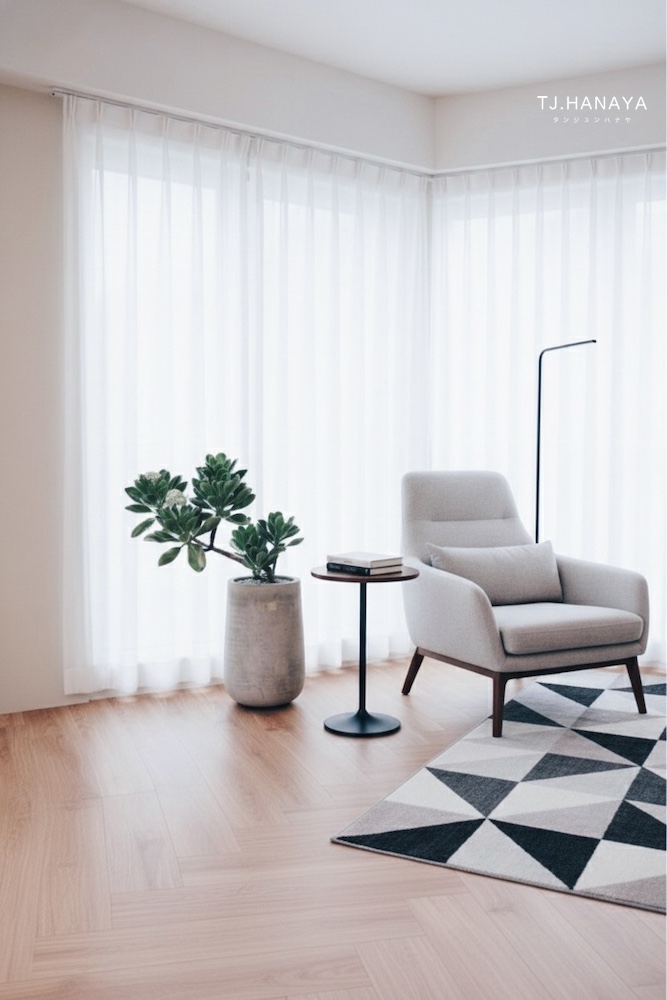 黃椰子-落地盆栽推薦-室內景觀植物