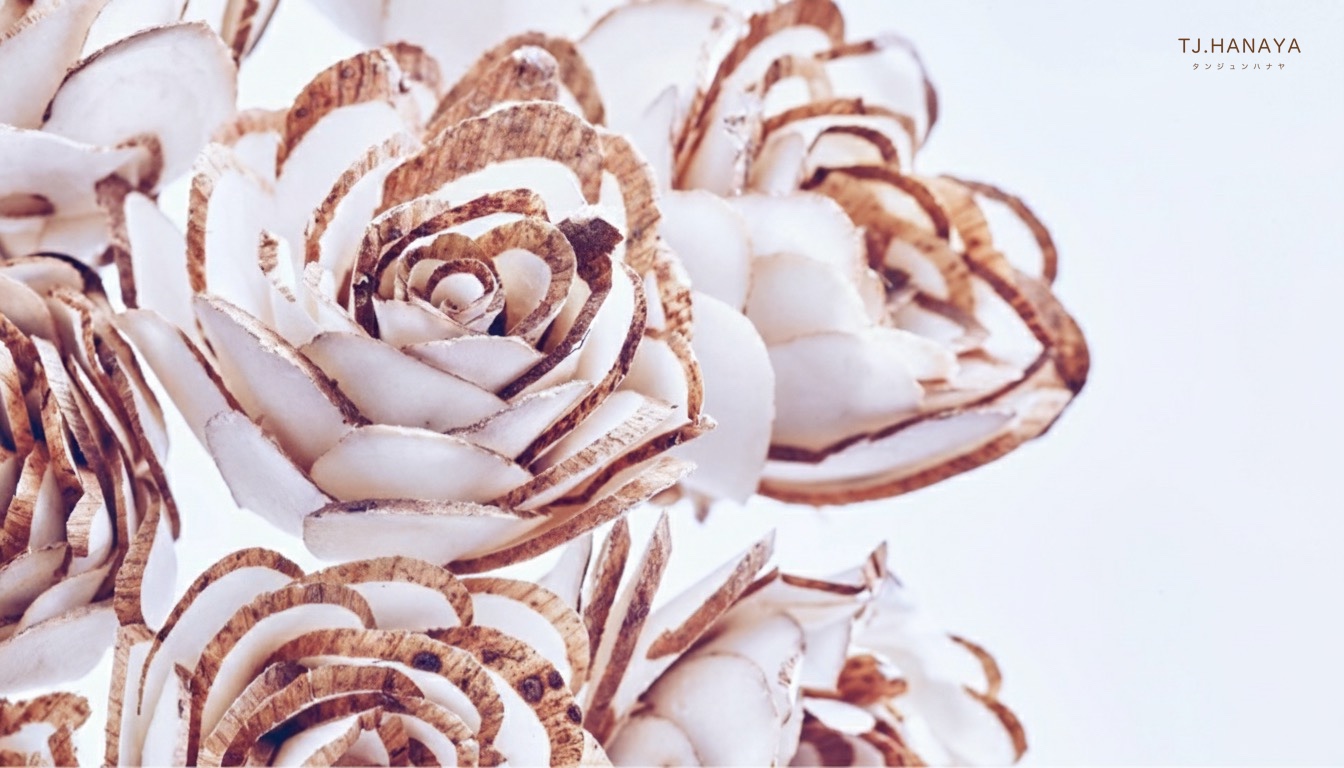 什麼是索拉花？索拉花是永生花還是假花？一次搞懂材質、差異與保存