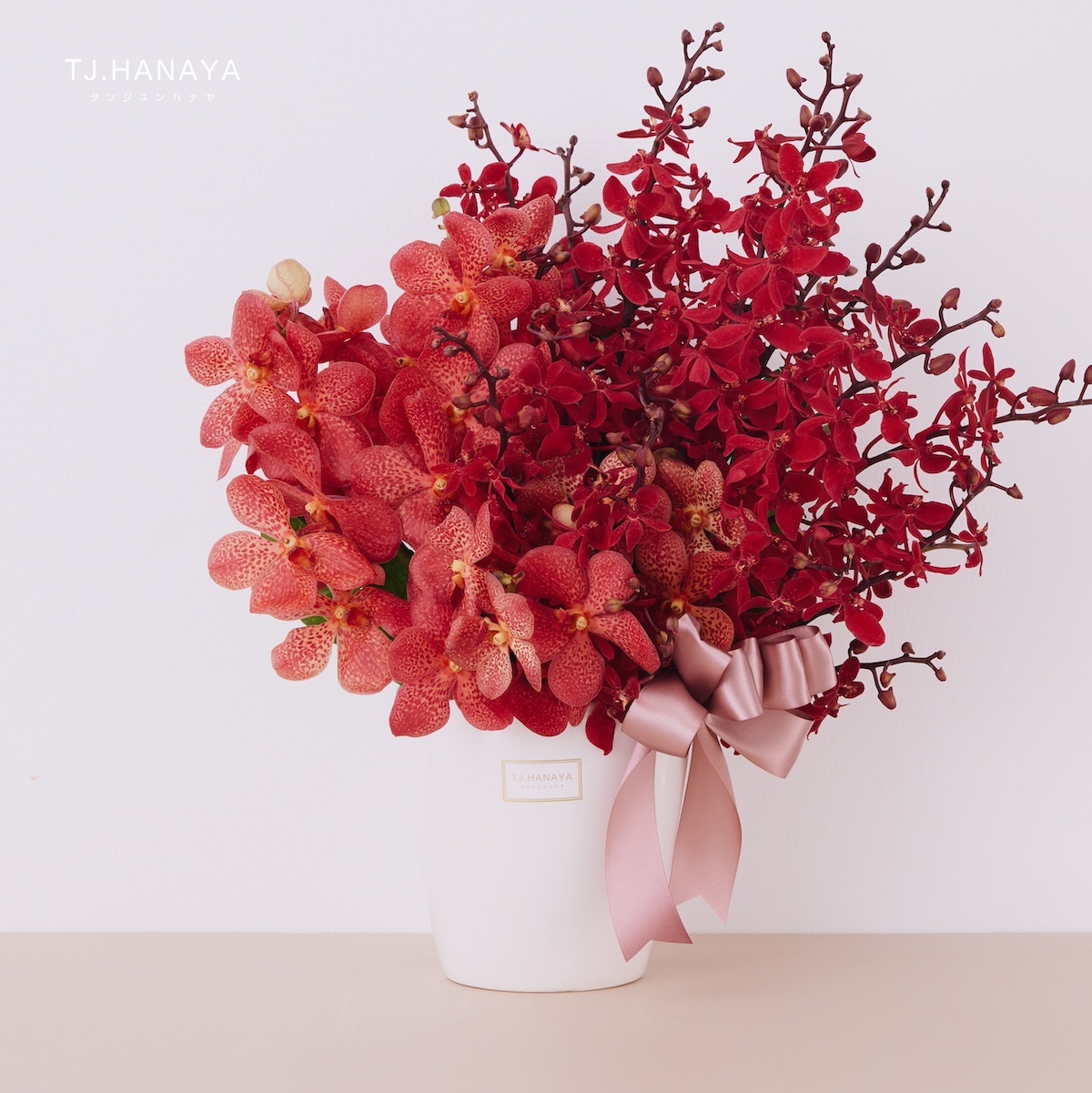 蘭花盆花推薦-客廳盆花-送長輩花禮