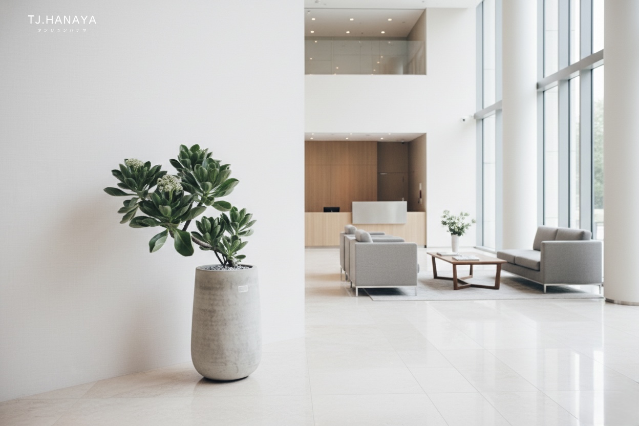 白水木-喬遷送植物-喬遷落地盆栽