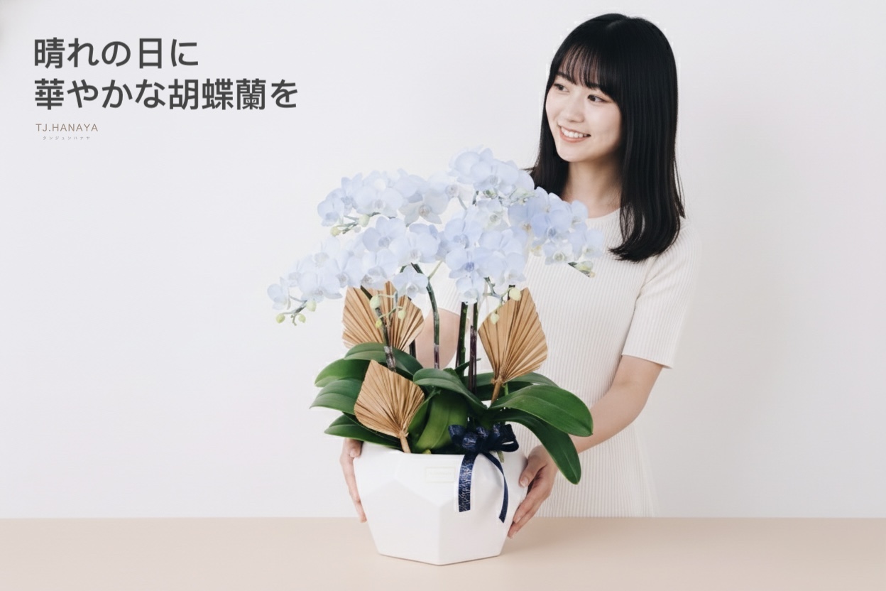 蝴蝶蘭照顧-蝴蝶蘭盆栽-蝴蝶蘭澆水