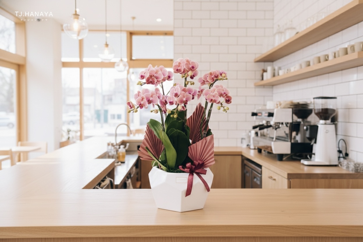 蘭花送禮-開幕蘭花-開店蘭花-活動蘭花