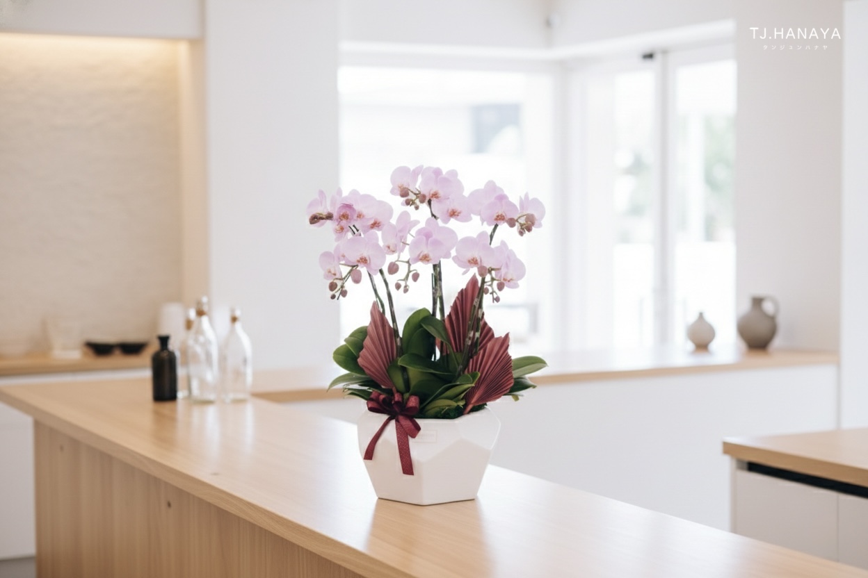 搬家送花-入厝送花-喬遷送花-喬遷送植物