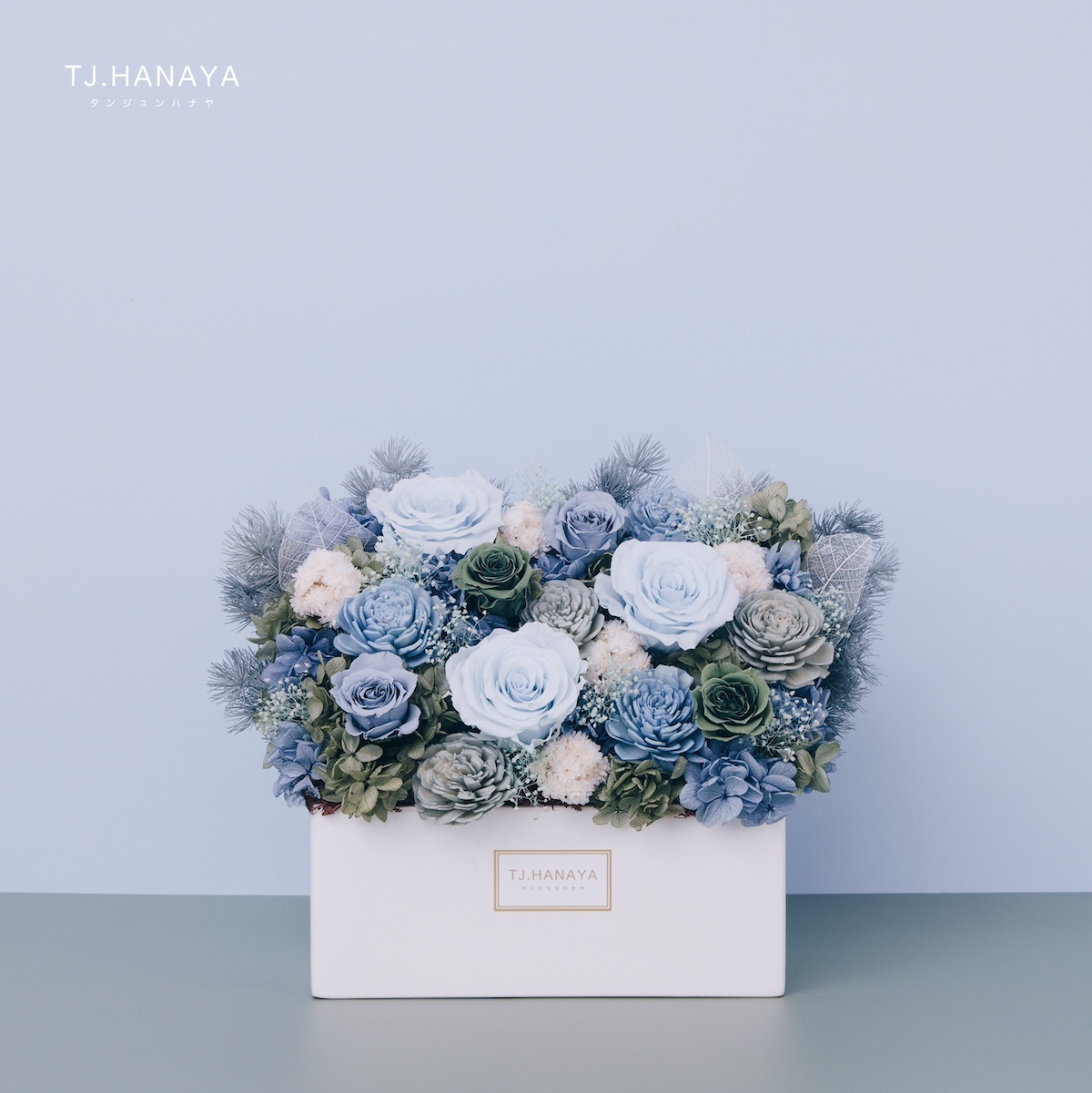 永生長型盆花｜湖水綠