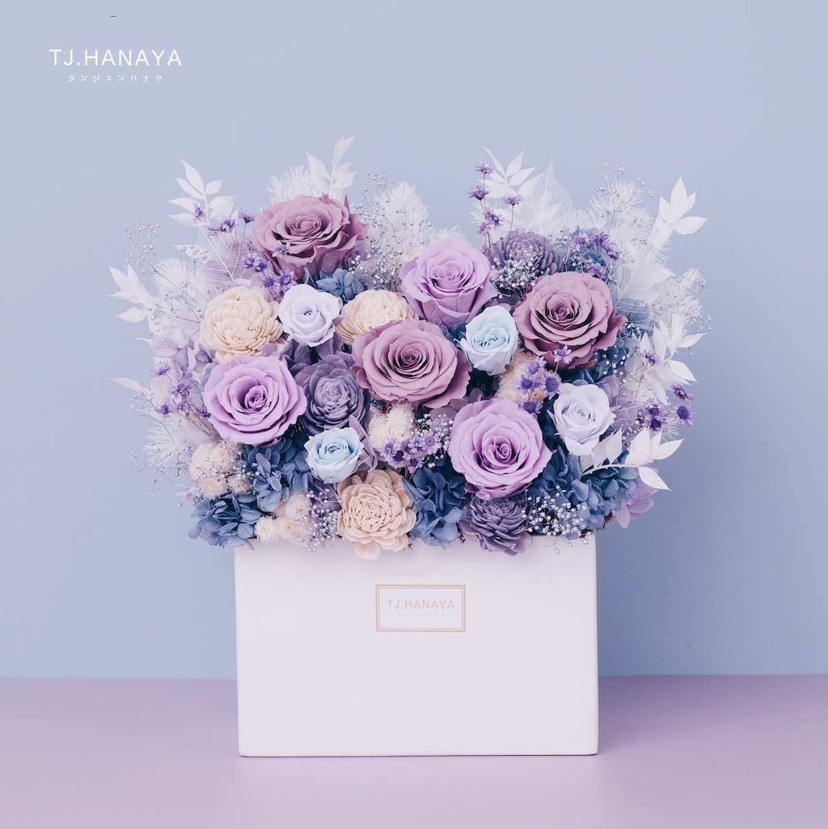 永生長型盆花｜紫霧藍