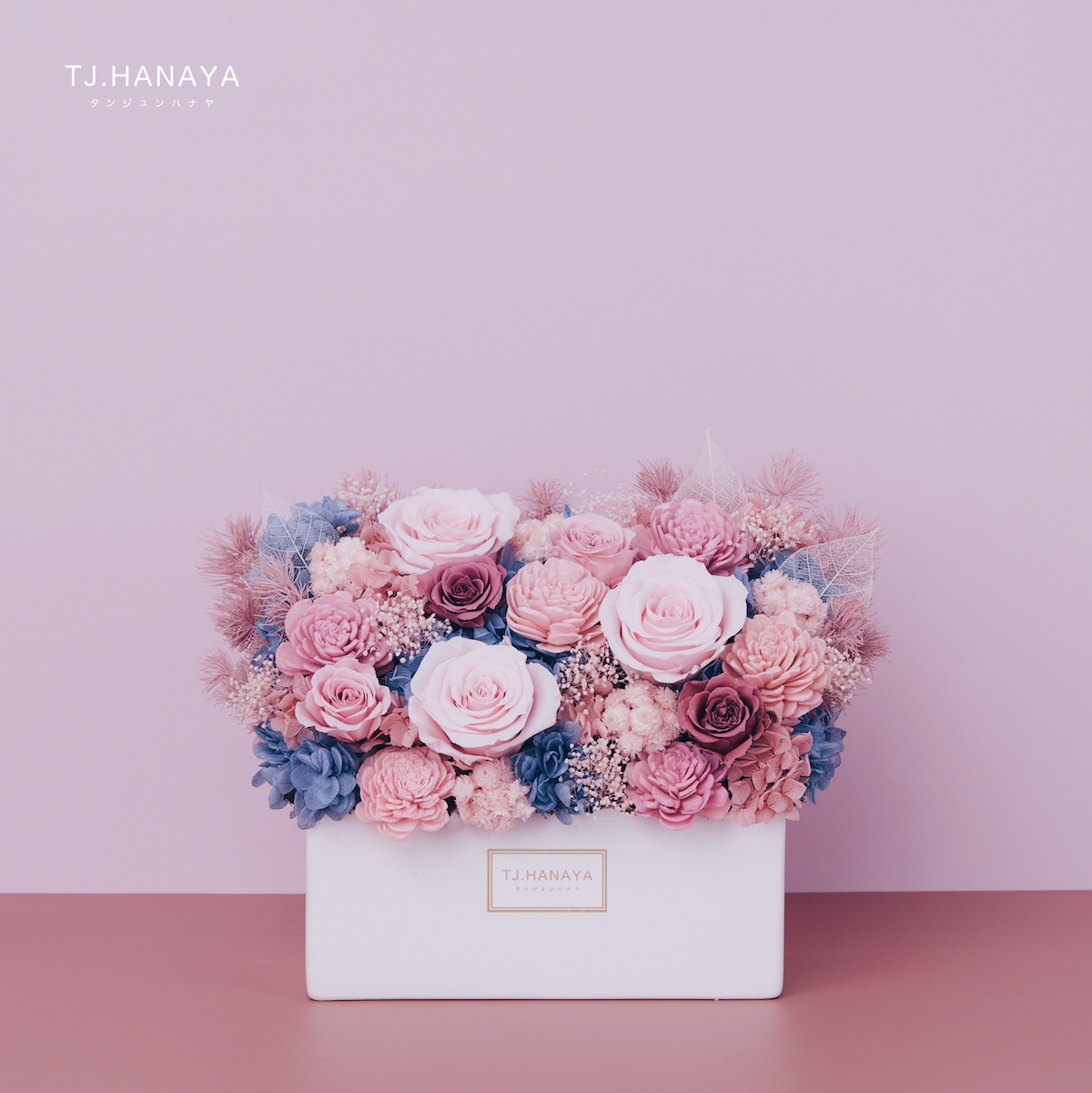 永生長型盆花｜藍莓粉