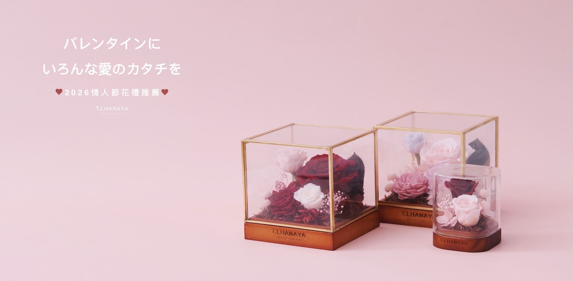 紅色與粉色玫瑰永生花玻璃花盒、鐘罩與情人節花禮推薦