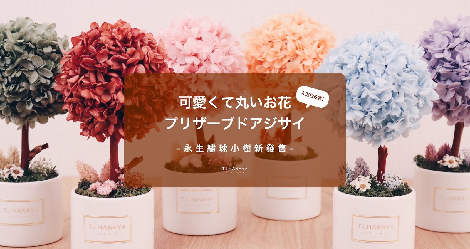 永生繡球花、永生盆花與永生花送禮推薦