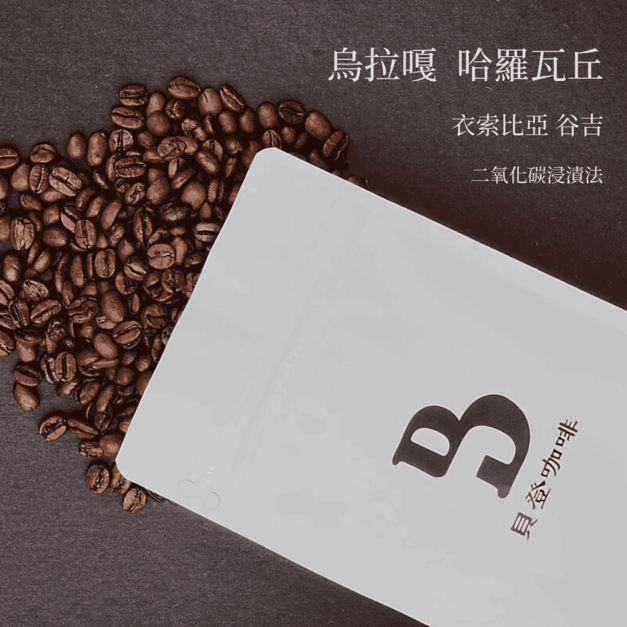 哈羅瓦丘 烏拉嘎 