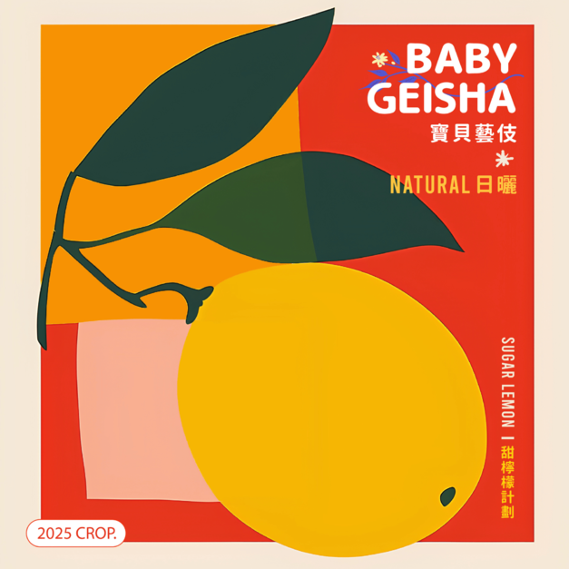 寶貝藝伎 2025｜衣索比亞 吉瑪莉姆 果美村 G1｜ 淺焙｜甜檸檬計畫 SUGAR LEMON｜日曬