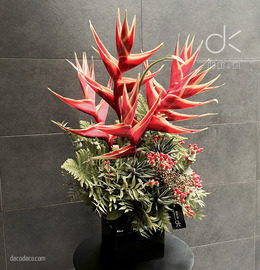 火系列盆花 DF-FV0002