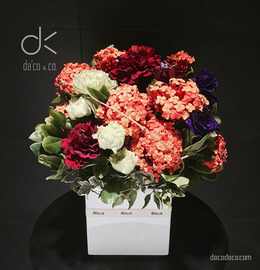 火系列盆花  DF-FV0004