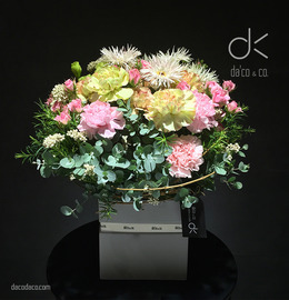 木系列盆花 DF-TV0001