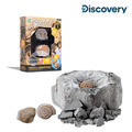 【Discovery】遠古化石迷你挖掘套組(2入)
