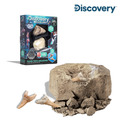 【Discovery】鯊魚牙齒迷你挖掘套組(2入)