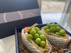 <綠寶石>麝香葡萄2房禮盒