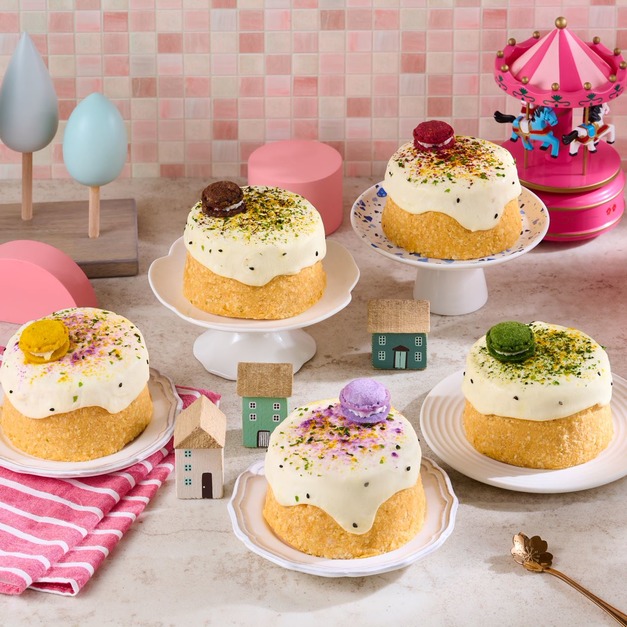 寵物蛋糕｜法式馬卡龍純肉正餐蛋糕【四吋｜不列入全館折扣】備貨天數 7天｜貓狗配方