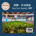 錫蘭紅茶 坎地Kandy - 鍋煮奶茶專用 (300g袋裝)