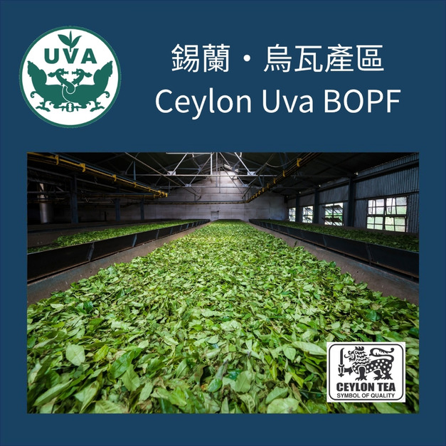 錫蘭烏瓦紅茶 Uva BOPF｜世界三大名茶 鍋煮奶茶＆濃厚單飲專用（罐裝150g / 袋裝300g）