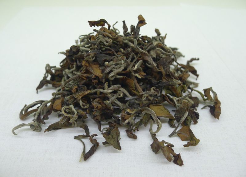 東方美人｜白毫烏龍