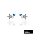 正韓 耳環 銀針 鍍白K 雙星尬水鑽 蛋白水鑽 耳針 耳環 微醺．禮物 (可改耳夾）