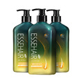 【ESSEHAIR 易生絲】薑暖胺基酸洗髮露 [3入組]