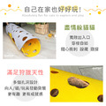 羊毛氈拼接起司洞洞遊戲貓隧道_5