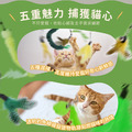 愛貓五部組可替換伸縮棒 逗貓棒_8